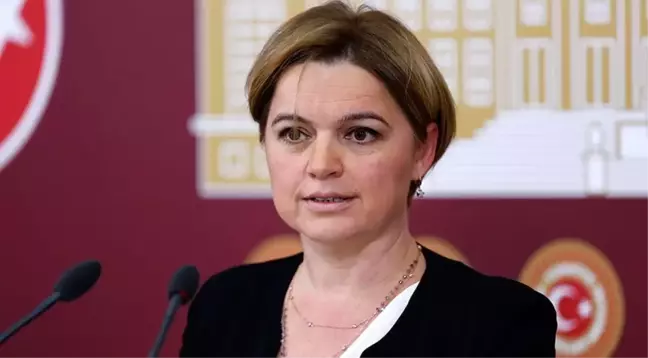 CHP'li Böke: Siyasi İstikrarı Sağlayacak Olan Gerçek Demokrasidir