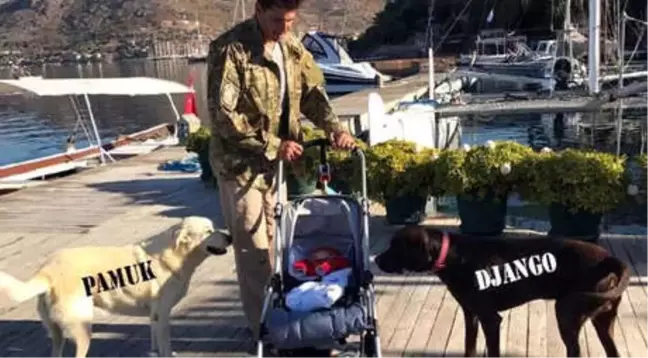 Tanem Sivar'ın Köpeklerinin Zehirlenmesi Davasında, Tüfek İçin Bilirkişi Raporu İstendi