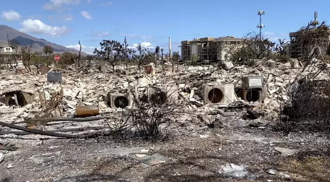 ABD'nin Maui adasında çıkan orman yangınında ölü sayısı 106'ya yükseldi