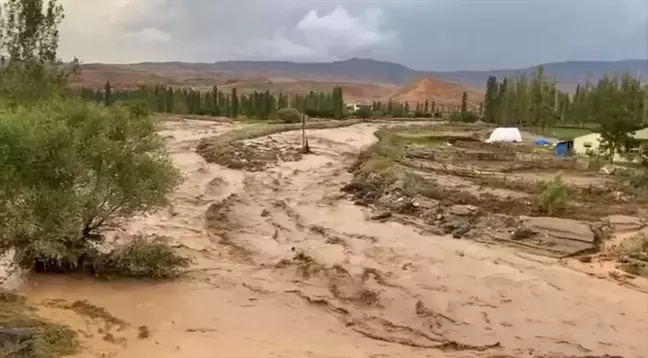 Kars'ın Kağızman ilçesinde sel nedeniyle meyve bahçelerine hasar