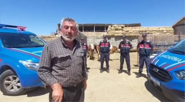 Aksaray'da çalınan 8 büyükbaş kurbanlık, Şanlıurfa'da bulundu