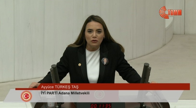 Ayyüce Türkeş Taş yemin etti mi? 28. Dönem milletvekili Ayyüce Türkeş Taş kimdir?