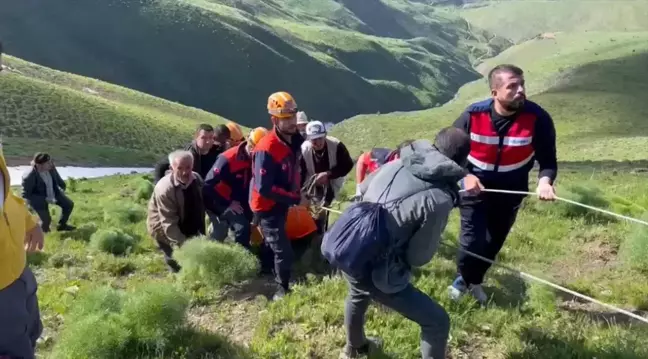 Van'ın Gevaş ilçesinde ot toplarken kayalıktan düşen kişi hastaneye kaldırıldı