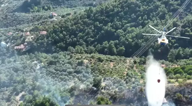 Çanakkale'deki Zeytinlik Yangını Kontrol Altına Alındı