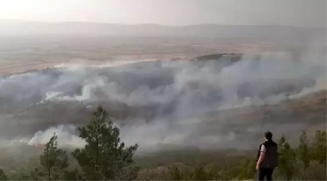 Denizli Çivril'de çıkan orman yangını kontrol altına alındı