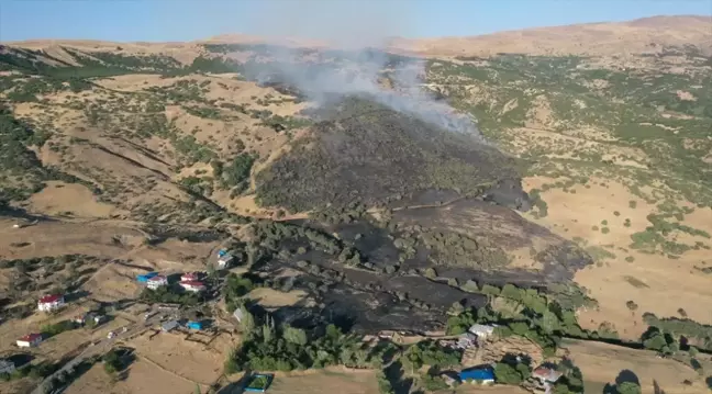 Elazığ'da çıkan orman yangını kontrol altına alındı