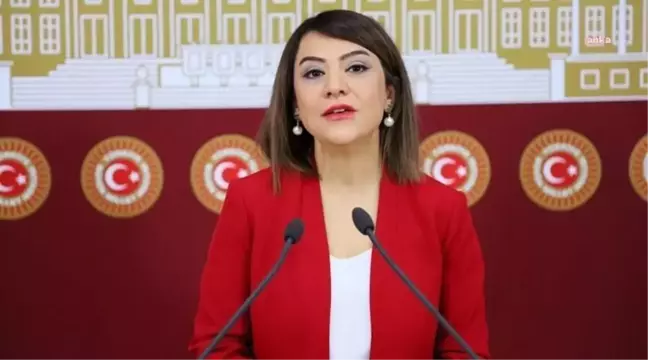 Taşcıer'den Bes ile Vatandaşlık Verilmesine Tepki:
