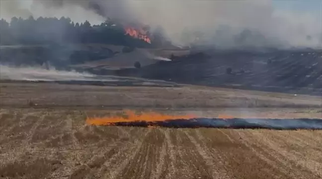 Kütahya'da Ormanlık Alanda Anız Yangını