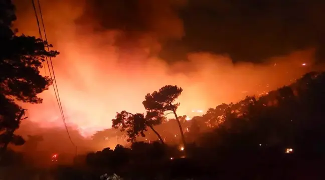 Muğla'da Orman Yangınlarıyla Mücadele Devam Ediyor