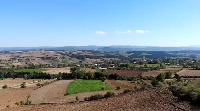 Çankırı'da Çeltik Üretiminde Rekor Verim Elde Edildi