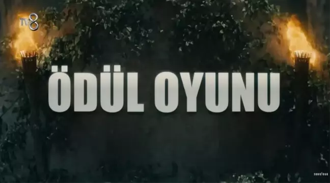 Survivor canlı izle! 31 Mayıs Çarşamba TV8 Survivor yeni bölüm canlı izle! Survivor 116. bölümde neler olacak? Eleme adayları kim? TV8 canlı izle!