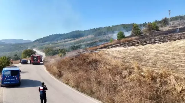 Mudanya'da Orman Yangını: İtfaiye ve Helikopterlerle Mücadele Ediliyor