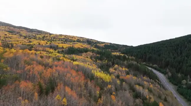 Sonbahar Güzelliği Erzincan Dağlarında