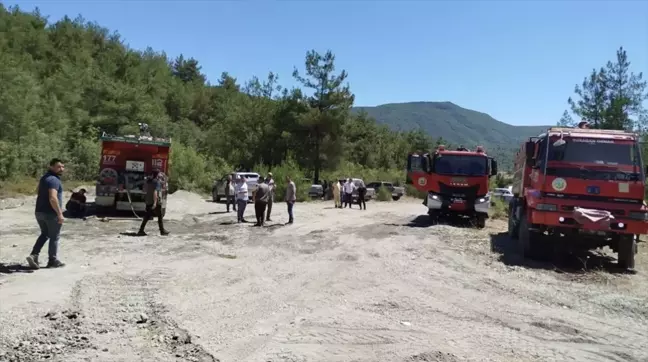 Sinop'un Saraydüzü ilçesinde çıkan orman yangını söndürüldü