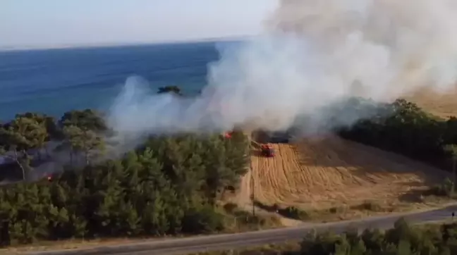 Edirne'deki orman yangını kontrol altına alındı