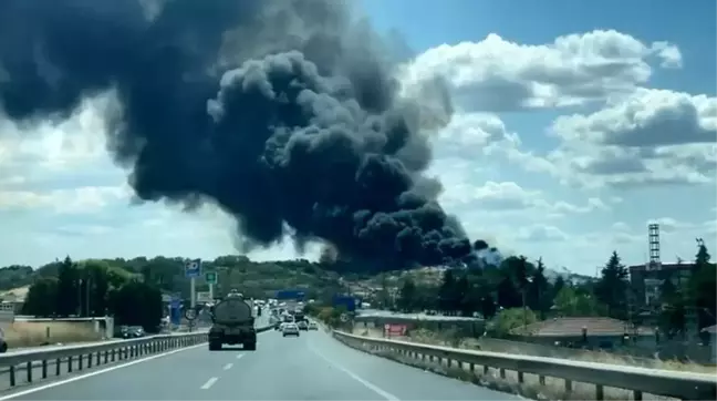 Tekirdağ'ın Ergene ilçesinde otluk alan ve çöp yangını