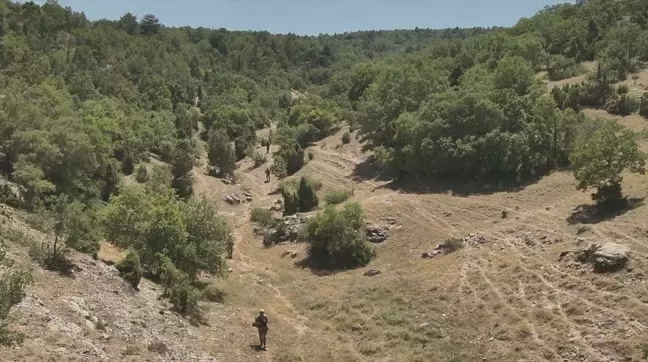 Eskişehir'de Ormanda Ateş Yakana Para Cezası