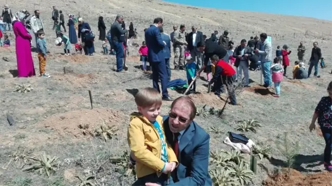 Kovancılar'da