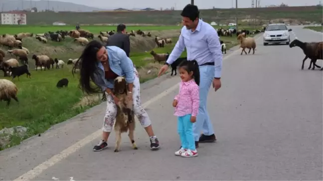 Besiciler Muş'a Geri Dönmeye Başladı