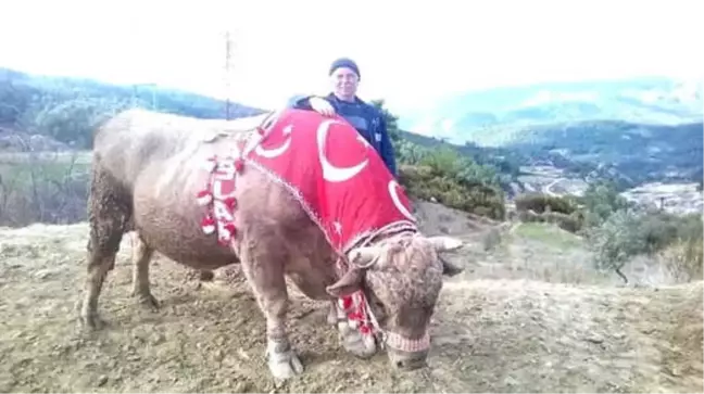 Germencik'te Dağyeni Festivali Hazırlıkları Sürüyor
