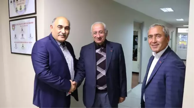 Şahin