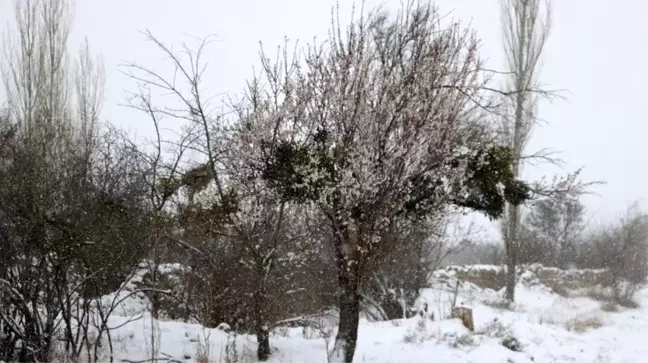 Niğde, Mart ayında beyaza büründü