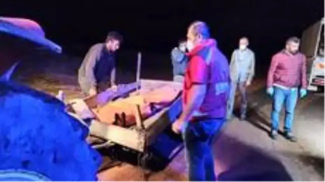 Son dakika haberi! Erzincan'da yıldırım isabet eden çoban öldü