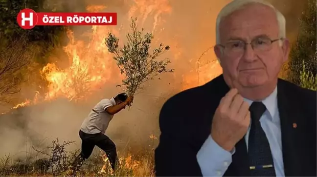 Yanan ormanlar nasıl yeşerecek? Uzman isim, dünyadan örnek vererek anlattı