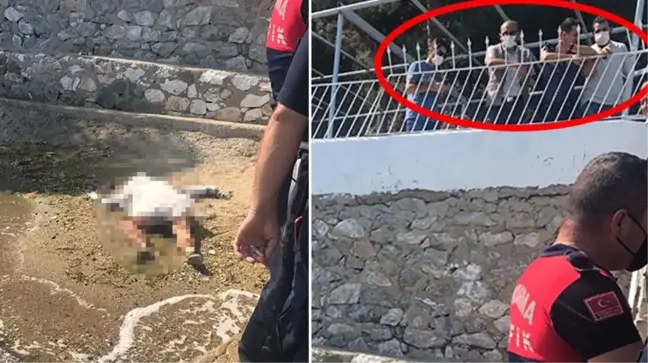 Herkes endişeli gözlerle denize baktı! Talihsiz kadın, iki eli de sargıda olduğu için suya düşmüş