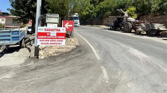 Siirt Eruh'ta bir hayvanda şarbon görülmesi nedeniyle ilçeye giriş-çıkışlar yasaklandı