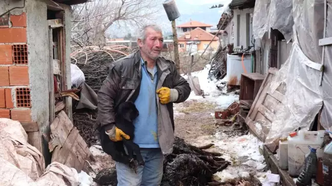 Aşı yapılan 150 keçilerinden 70'i telef olan çoban aile gözyaşlarına boğuldu
