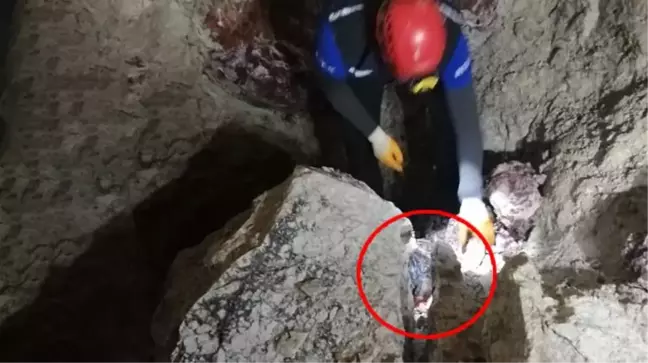 Define aradığı dehlizde feci şekilde can verdi