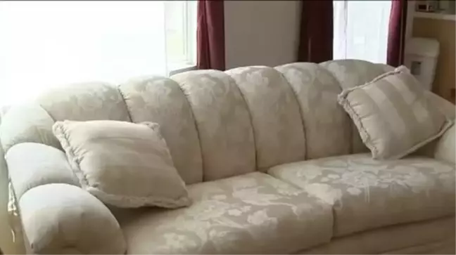 Bedava aldığı koltuktan 600 bin lira para çıktı! Paraları görünce ilk işi bakın ne oldu