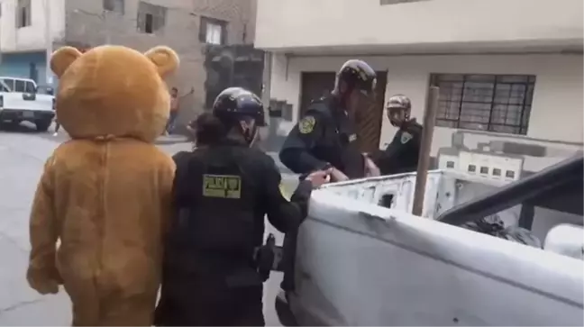 Peru'da Sevgililer Günü'nde ayı kostümlü polis operasyonu