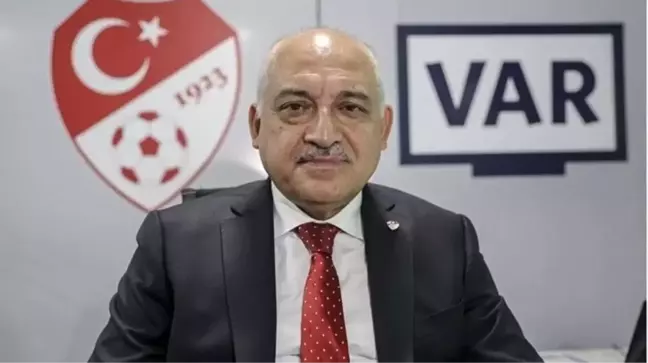 TFF kasasından Euro 2024'e kaç kişi götürüldü? Ortaya atılan iddialara ilk yanıt