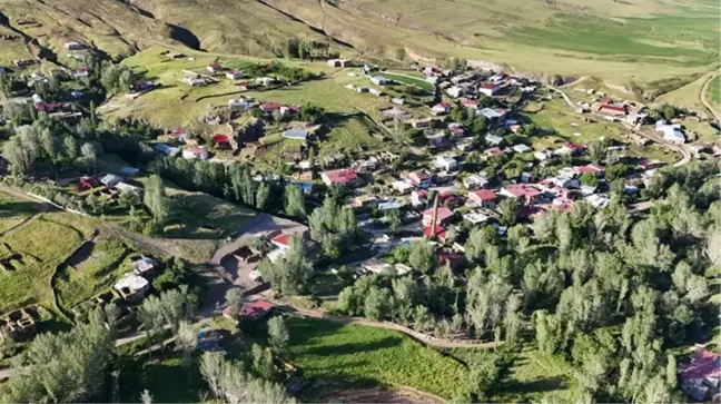 Köyler arasındaki dava sonuçlandı! 2 şehrin sınırı değişti