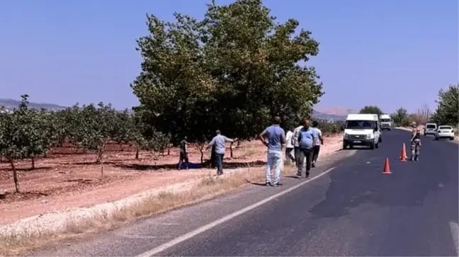 Şanlıurfa'da genç öğretmenin cesedi fıstık bahçesinde bulundu