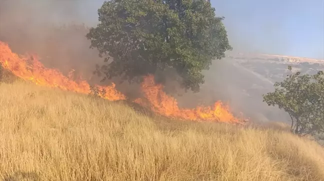 Tunceli'de çıkan yangın itfaiye ekipleri tarafından söndürüldü