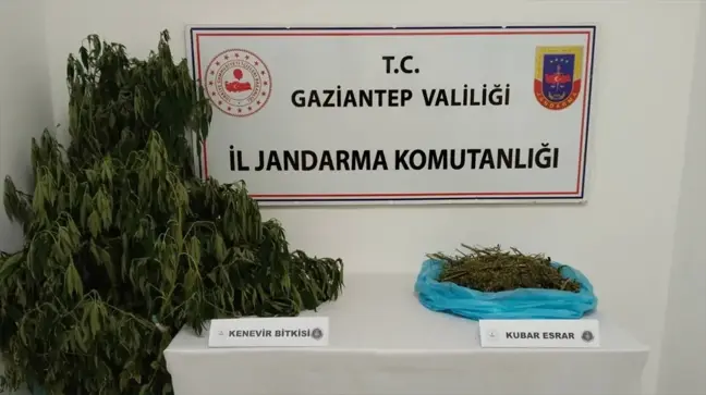 Gaziantep'te uyuşturucu operasyonu: 1 zanlı yakalandı