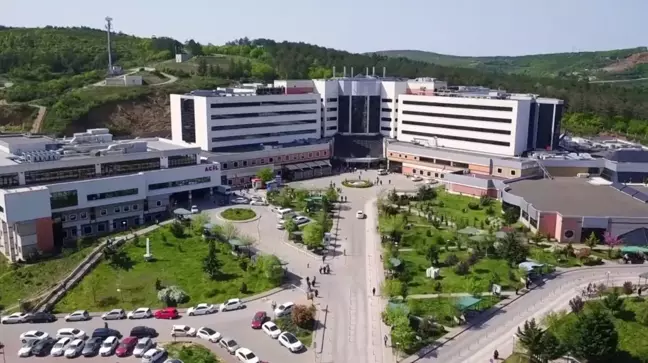 Kocaeli Üniversitesi'nden ses getirecek akademik başarı!