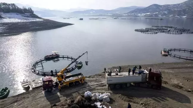 Tokat'tan Karadeniz'e Somon İhracatı Başladı