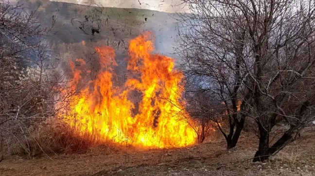 Tunceli'de Otluk Arazide Yangın Çıktı