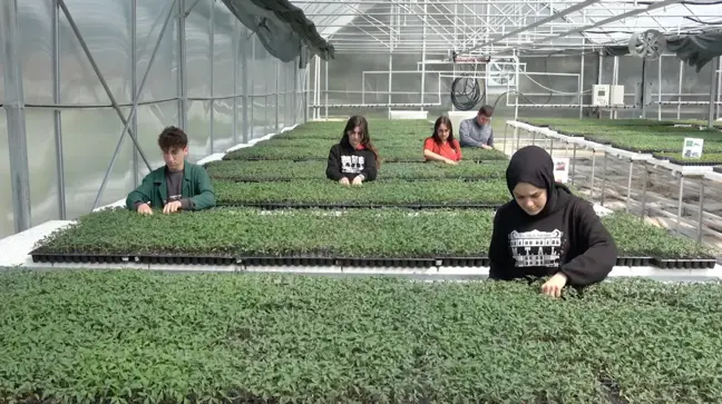 Erzincanlı Öğrenciler 180 Bin Sebze Fidesi Üretti