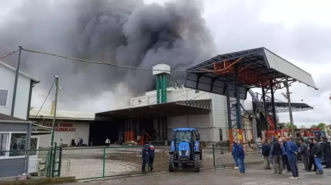 Sakarya'da Fındık Kırım Fabrikasında Yangın Çıktı