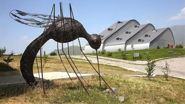 Çocukluğundaki Dünyayı Müzede Sergileyecek