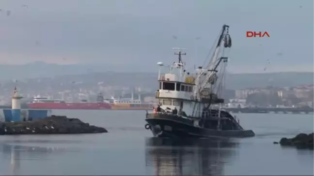 Tekirdağ'da Köpekbalığı Yakalandı