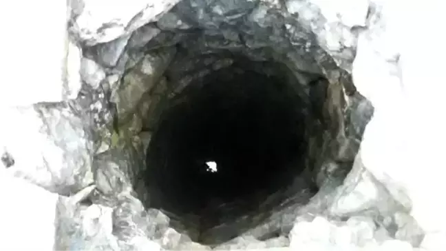 Yavru Keçi İçin Seferber Oldular
