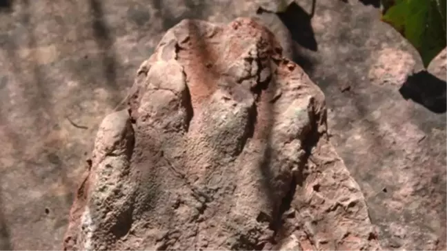Manisa'da Bulunan 26 Bin Yıllık Fosil Ayak İzleri Talan Ediliyor