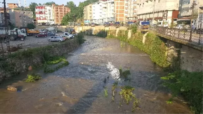 Kumru'da Elekçi Irmağı Islah Ediliyor