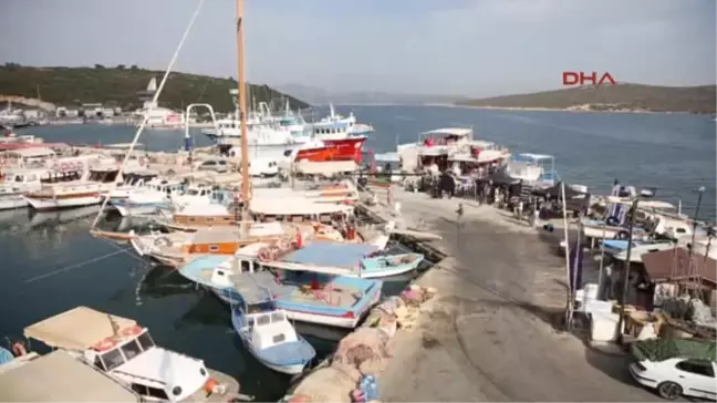 Ata Demirer Seyirci Korkup Gelmezse Yine Oynayacağız- 2
